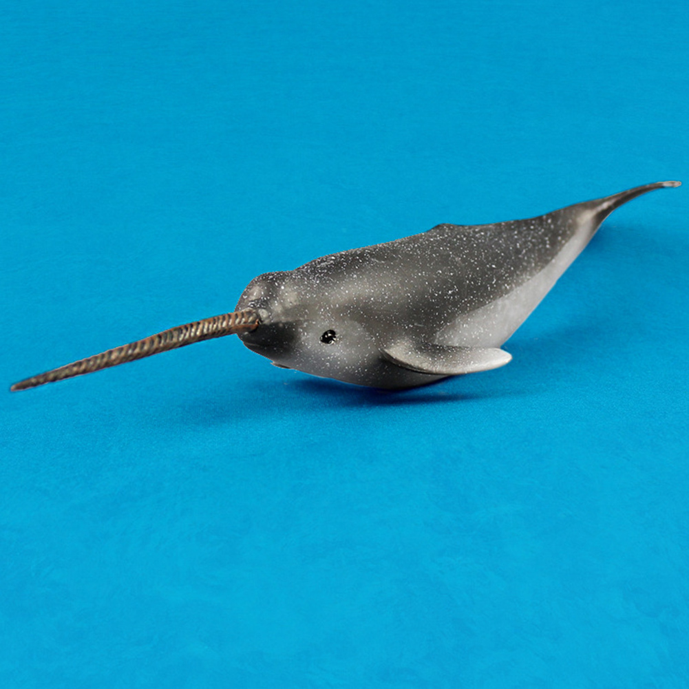 simulation animal model toys narwhal whale ocean