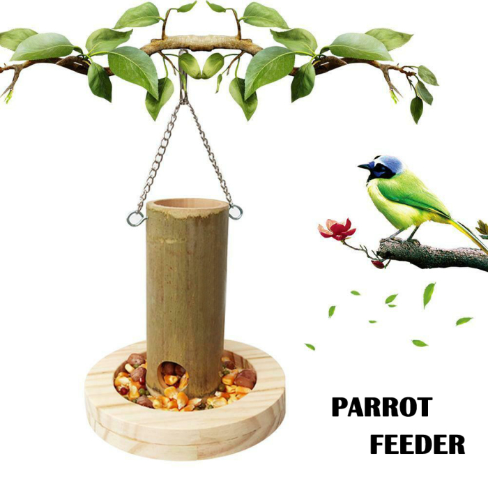 parrots birds food feeder bamboo food box with base food cup