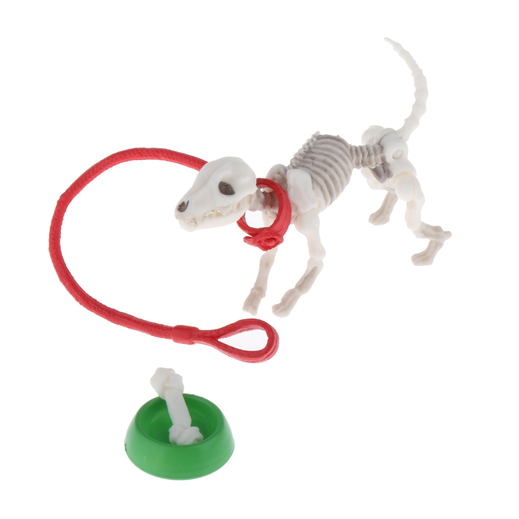 Miniature Squelette personnage poupée Chiens Os Bol Accessoires scènes Décoration 