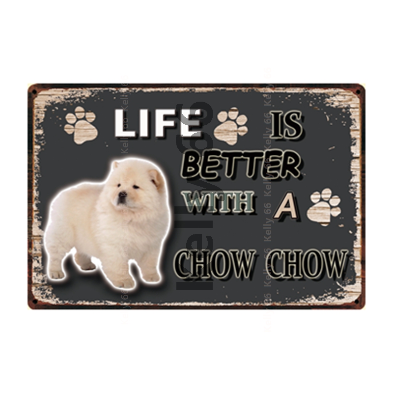 chow chow maltese