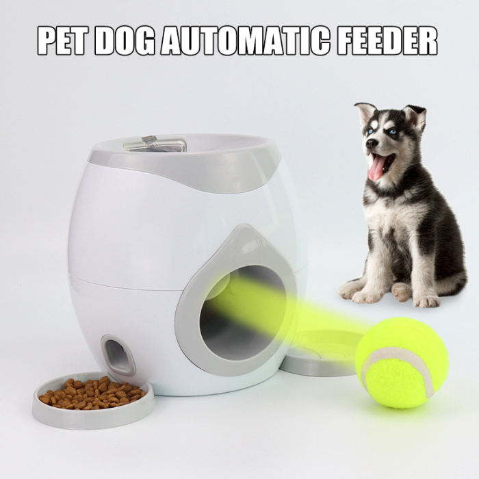 fetch machine for large dogs