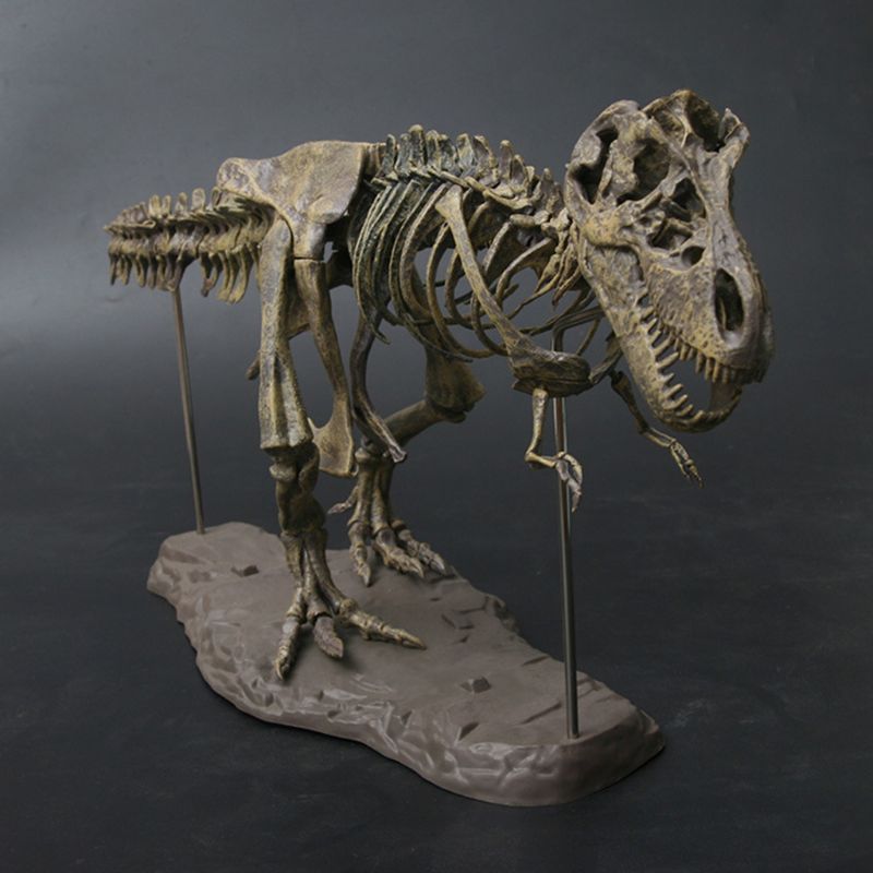 tyrannosaurus rex skeleton for sale