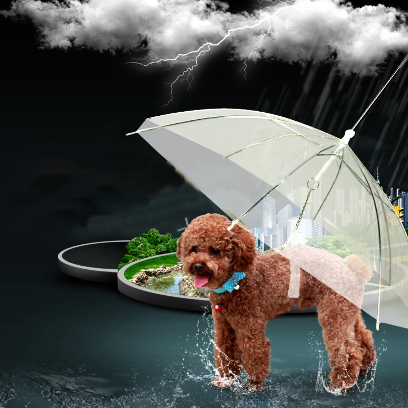 puppy umbrella