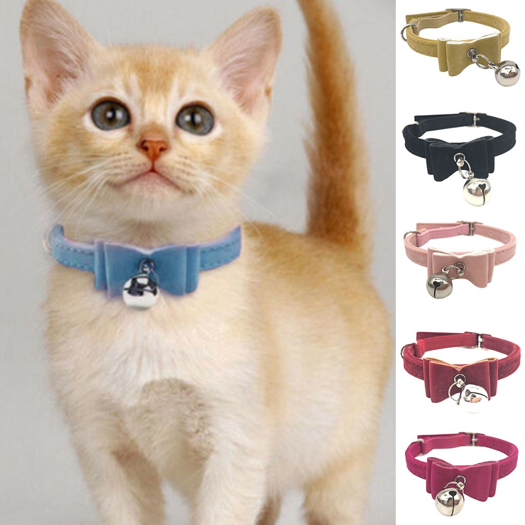 Cute kitty collars Clearance