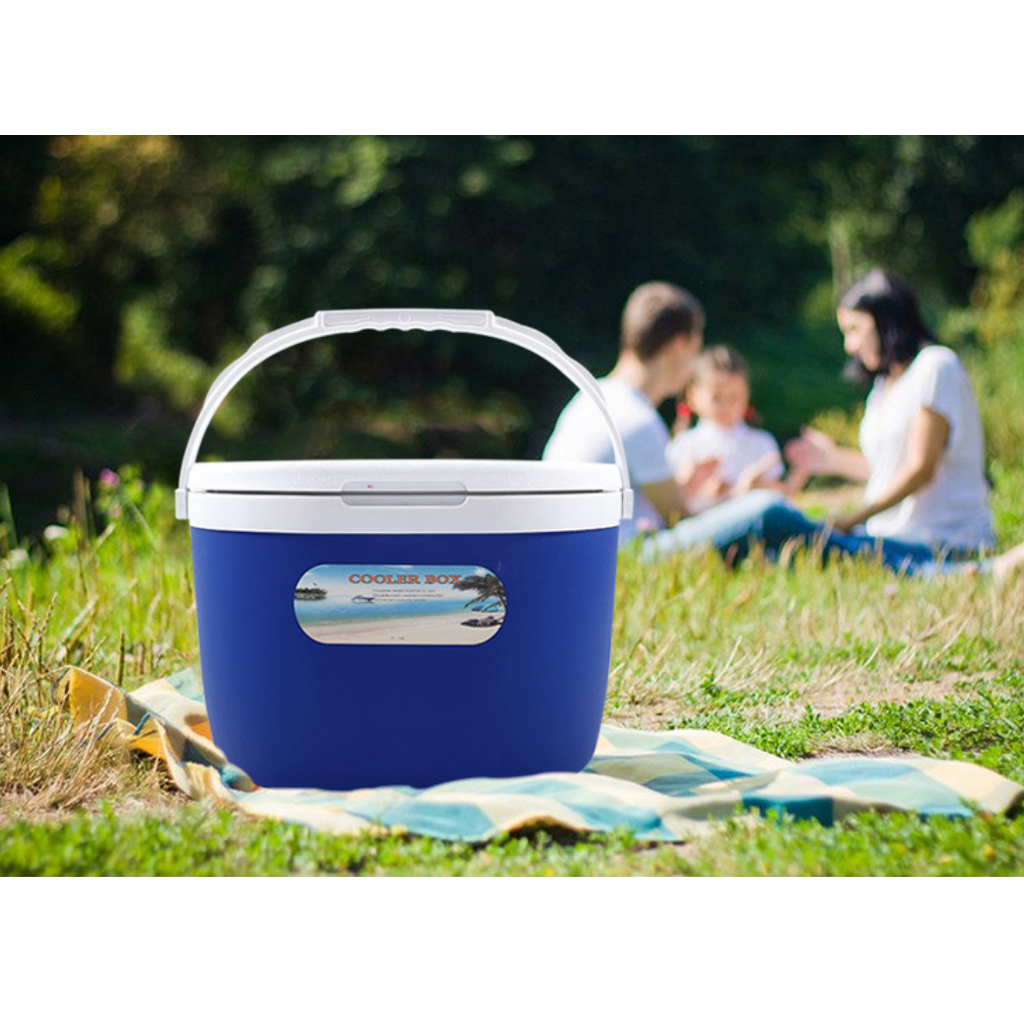 2 Ice Packs Large Blue 24 Litre Cooler Box Picnic Lunch Beach Camping