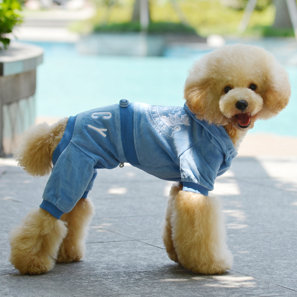 pet clothes pet jumpsuit pet products dog clothes The new Brand Pet