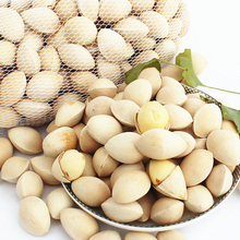Freeshipping New 1000 grams of fresh ginkgo Green Food Xuzhou super premium nuts raw ginkgo nuts