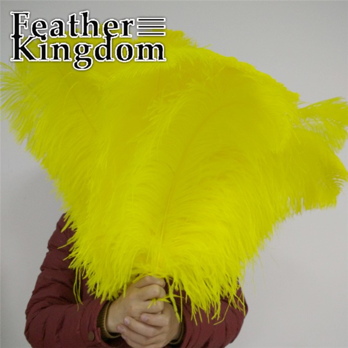 50-55cm yellow ostrich feather 1