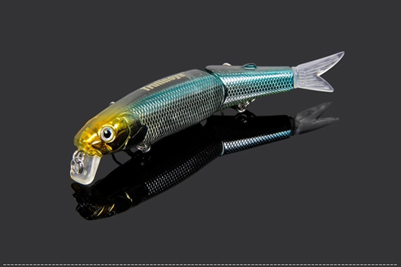 Trulinaoya Minnow 03-1