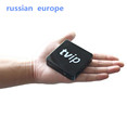 Linux TV BOX Or Android TV BOX TVIP V410 Amlogic S805 Quad Core Russian Original MiNi