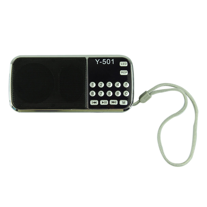 Beautiful Gift 100% Brand New Portable hifi MP3 player amplifier micro SD TF FM radio LED flashlight Free Shipping Dec07