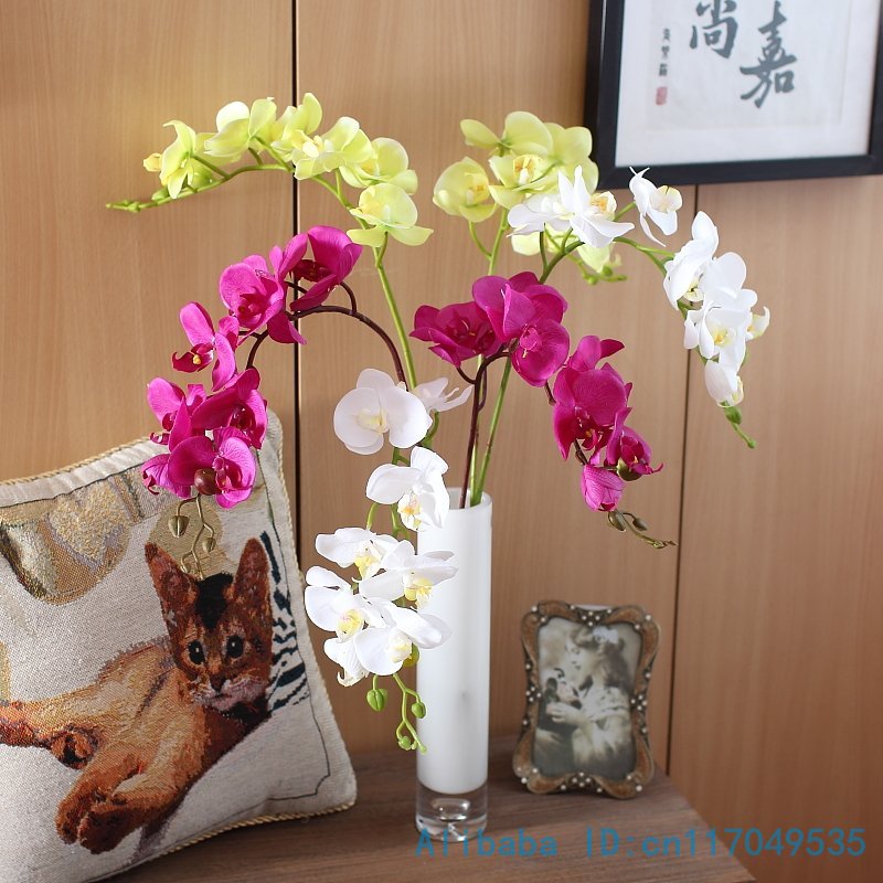 Орхидеи на подарок фото Орхидеи на подарок фото