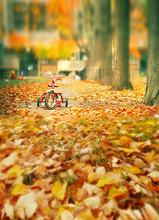 Children’s theme photography studio background cloth digital photo background background 1008 children
