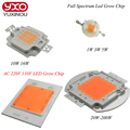 100W 50x3W 5W 50W led grow light chip full spectrum 380nm 840nm best for hydroponics greenhouse