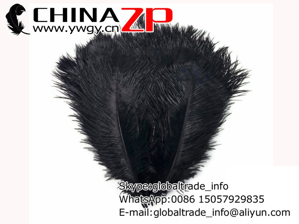 Ostrich Feathers, 10 Pieces - 9-10 BLACK Ostrich Drab Bleached Feathers2