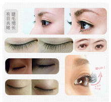Free Shipping Eyelash Growth Treatments Liquid Thicker Longer Slender 15 days Grow Eyelashes Have Effect
