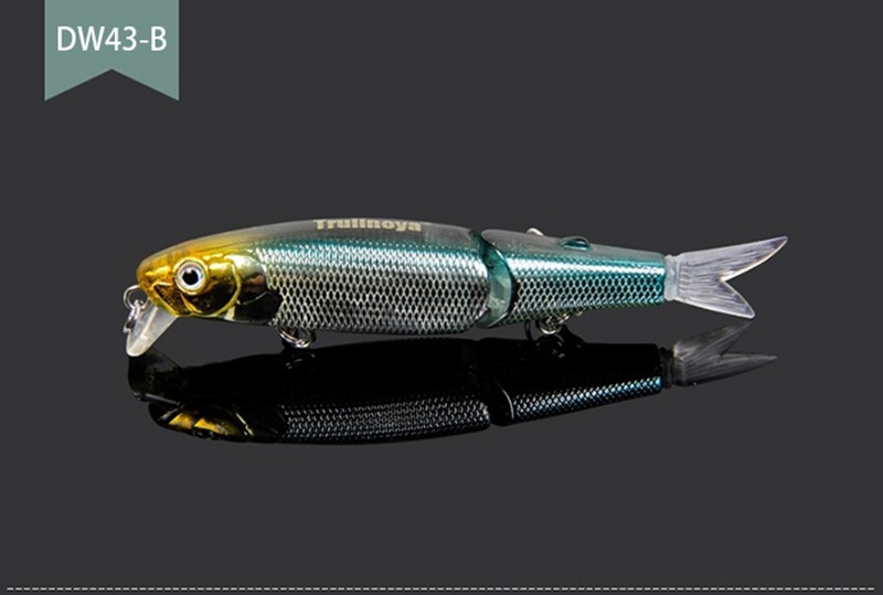 Trulinaoya Minnow 03