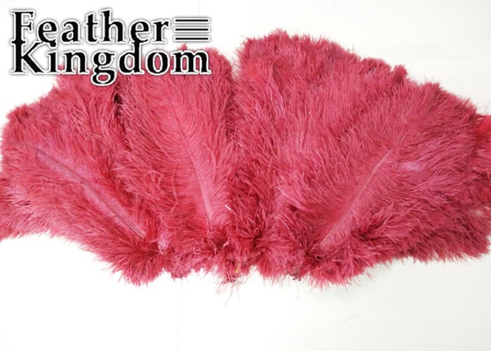 wine red ostrich feather 4-700
