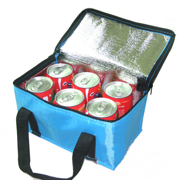 http://g02.a.alicdn.com/kf/HTB109jzIVXXXXXXapXXq6xXFXXXd/folding-insulation-Large-meal-package-cold-storage-thermal-waterproof-lunch-take-away-bag-ice-pack-Coke.jpg