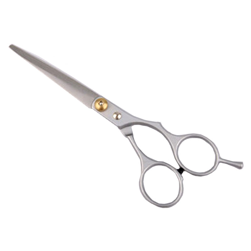2SE Hot sale  Regular Hairdressing Hair salon Cutting Thinning Silver Shears Stainless steel Scissors Set Tool