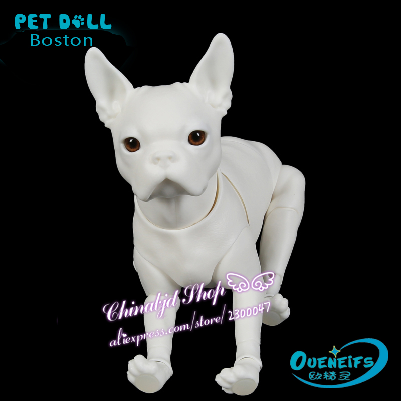 bjd pet