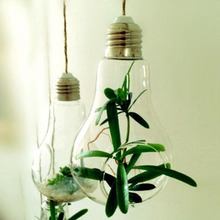Glass Bulb Lamp Shape Flower Water Plant Hanging Vase Container