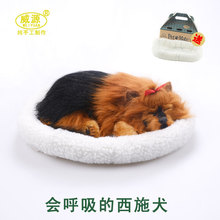 Famosa Shih Tzu mimados petz mimados compañero mascota respiración juguete lindo mascota dormir emulational juguete mini vívida