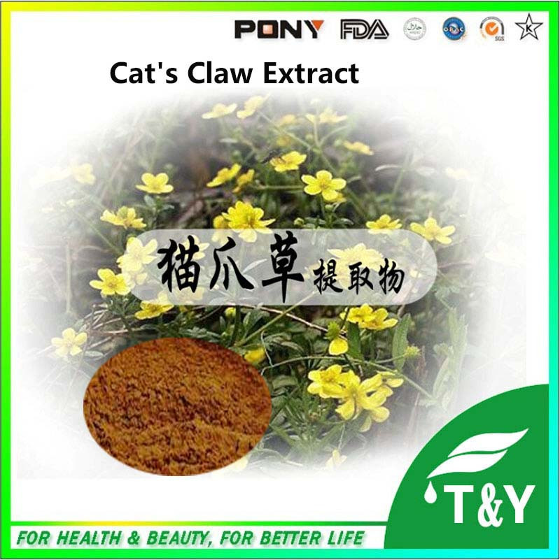 Cat Claw P.E. Radix Ranunculi Ternati or Radix Ranunculus Ternati