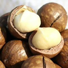 32g Macadamia Nuts Gift Delicious Chinese Snack Nut Creamy Dried Fruit Food for Health Sex Comida
