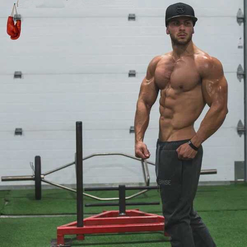 TB2U33GcSGI.eBjSspcXXcVjFXa_!!2502015950