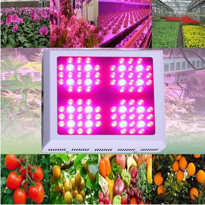 250W 84X3W LED Grow Lights Full Spectrum For Plants Hydroponics Systems Grow LED Plant Light Acuario Cultivo Indoor