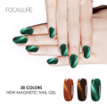 Focallure Nail Gel Polish Set Magnetic Nail Polish Color Gel Varnish Lacquer Nail Art Soak Off