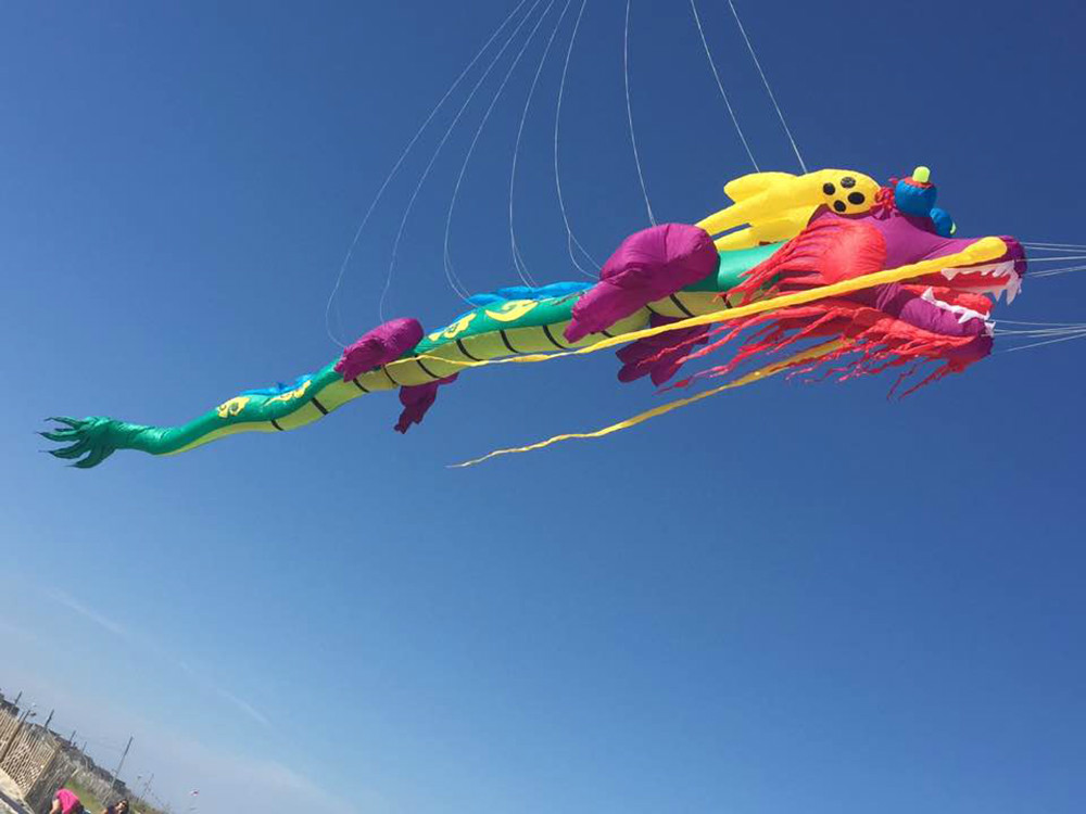 13912454_862652897200899_1009445392127679542_n