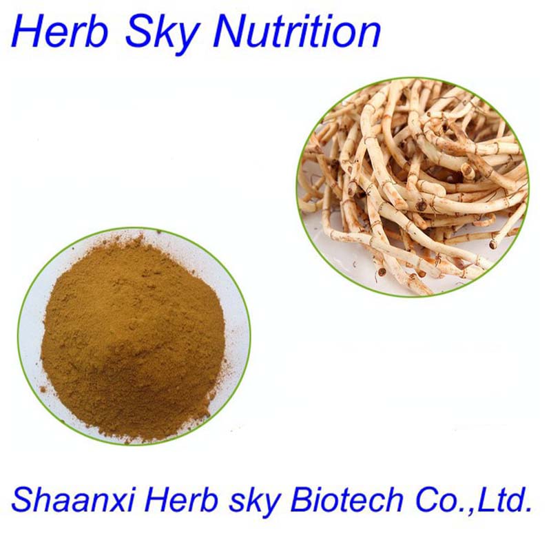 100% Natural Herba Houttuyniae extract powder;Houttuynia cordata extract 100g/lot