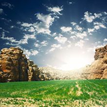 New arrival 5*7ft spring backdrops photography 40919,photo studio background backdrop,photographic studio background