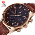 TSS Gold shell coffee surface Relojes Hombre 2016 Mens Watches Top Brand Luxury waterproof Quartz Watch