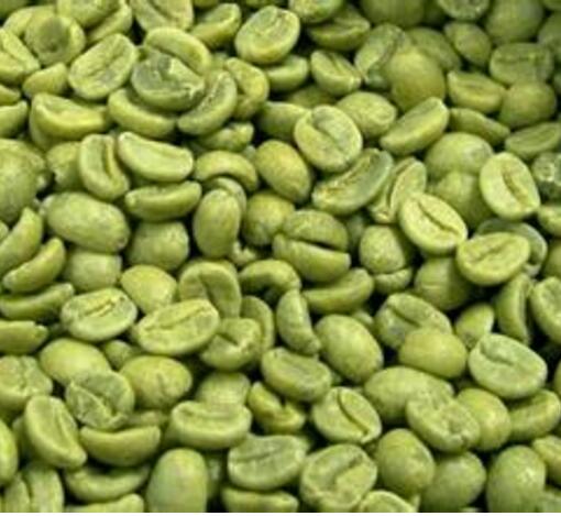 Pure Green Coffee Bean Extract 65 Chlorogenic Acids Powder 50gram free shipping