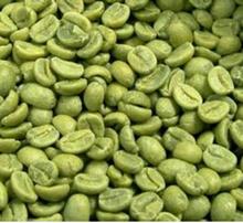 Pure Green Coffee Bean Extract 65% Chlorogenic Acids 50g free shipping