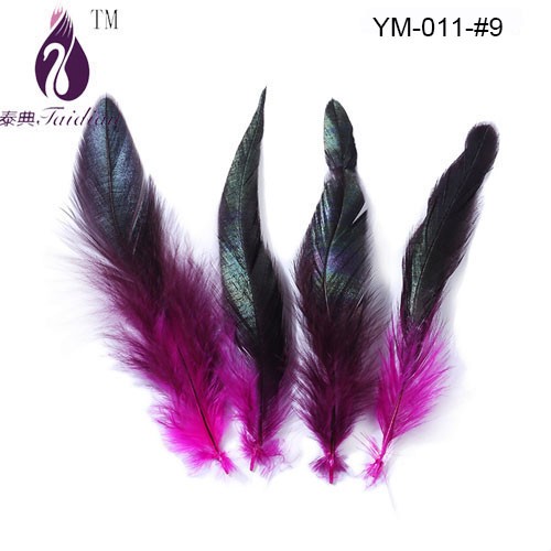 Rooster feather-9