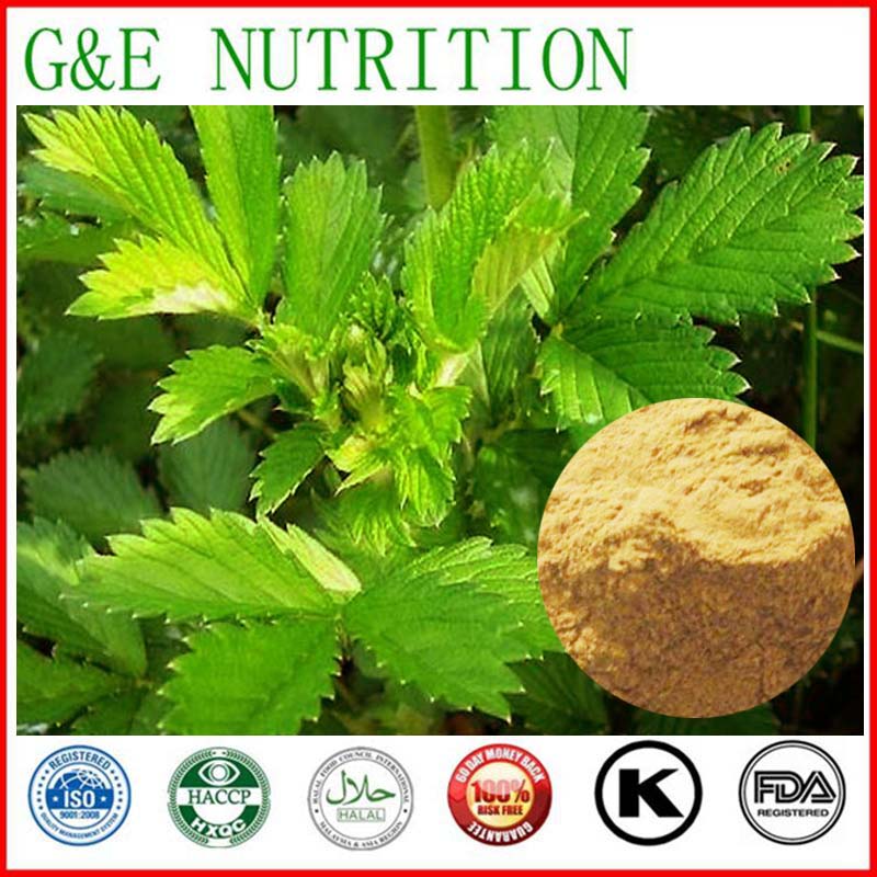 natural plant extract Hairyvein Agrimonia Herb Extract 700g