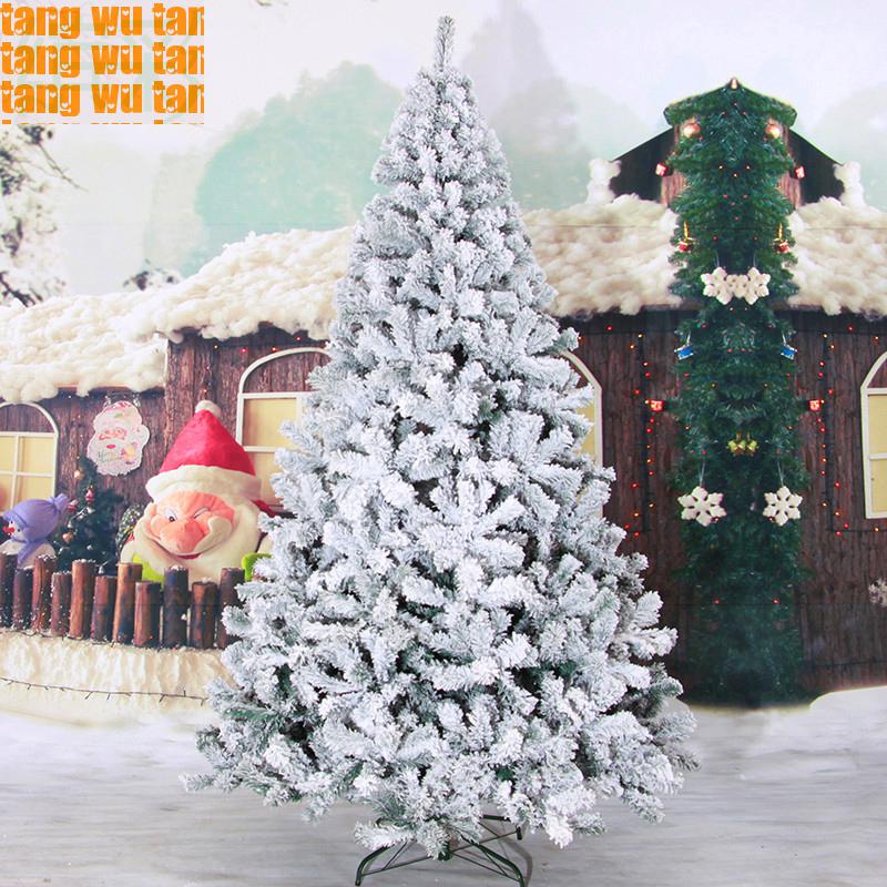 Top 28 Tree Snow Spray How To Spray Paint top 28 tree snow spray how to spray paint