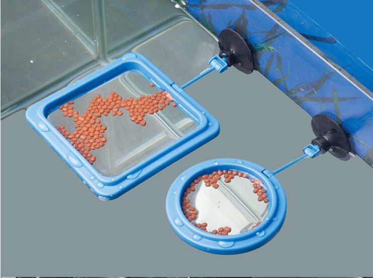 SquareCircle Ring Aquarium Tank Fish Feeding With Suction Cup (3)