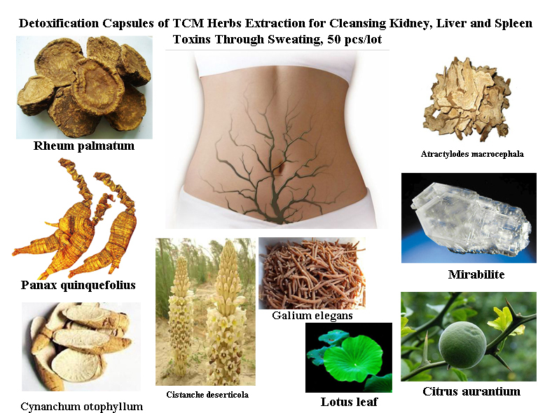 Detoxification Formula of TCM Herbs Extraction for Cleansing Kidney