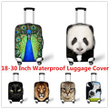 New Arrival 2015 Animal Print Sport Gym Bags For Men Cute 3D Cat