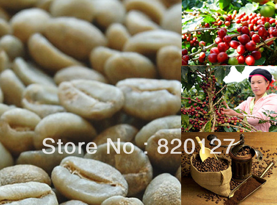 500g High Quality 2013 Fresh China Yunnan Small  Arabica AA Green Raw Coffee Beans,Grow On 1800M China YUN NAN MOUNTAIN