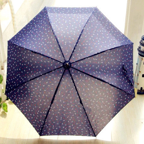  parasol umbrella women22.jpg