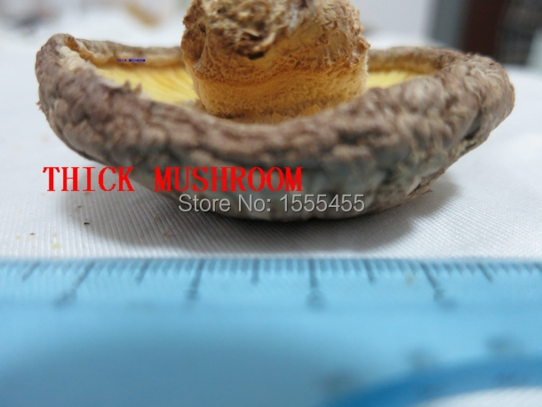 Free Shipping 250g/ 8.8oz Edible Fungi Mushrooms Dried Shiitake Chinese Food