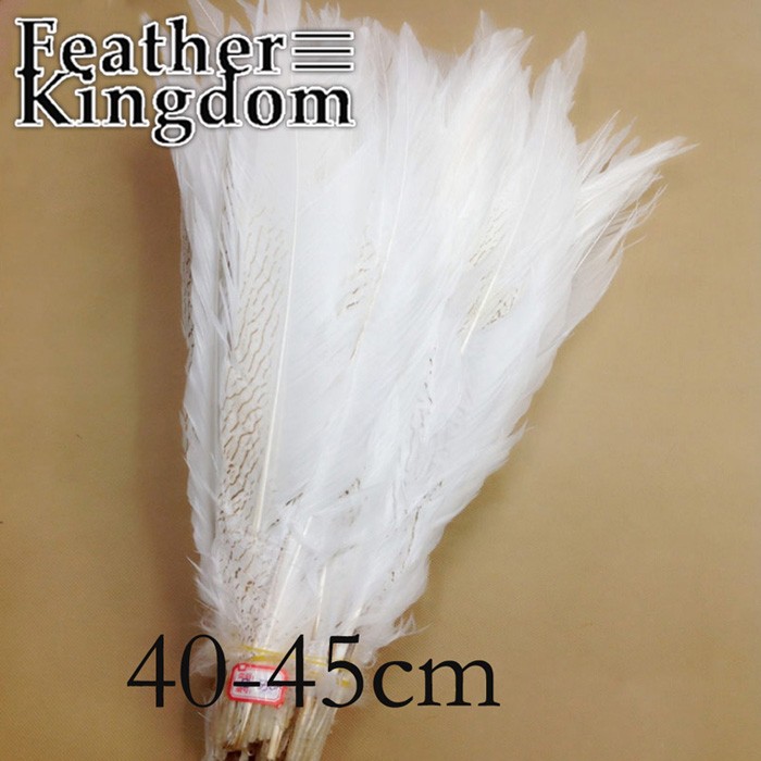 white silver feather 700