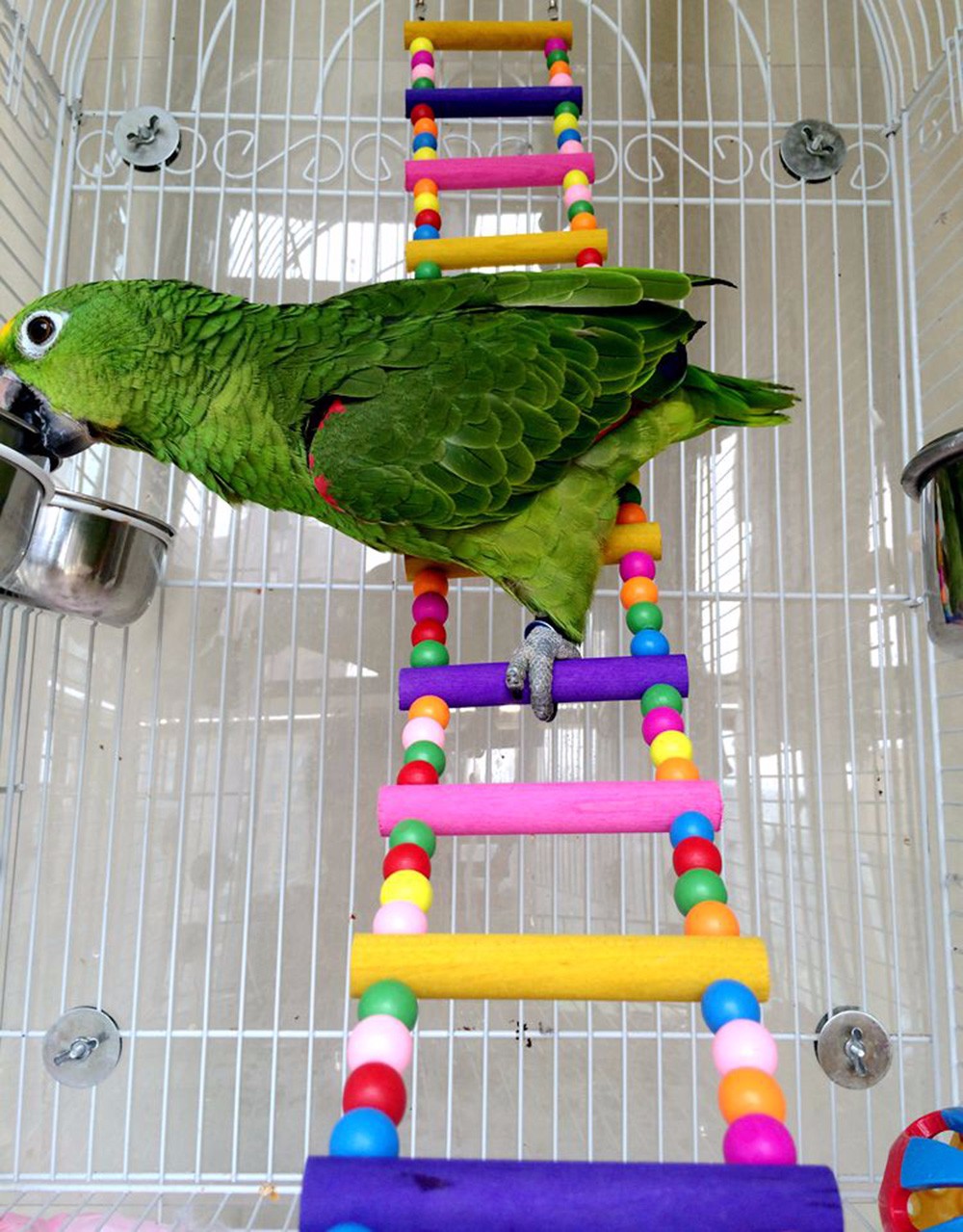 Funny-Colorful-Wooden-Pet-Bird-Toys-Ladder-Climb-Parrot-Drawbridge-Bridge-Macaw-Cage-Swing-Shelf-Singing-Parrot-Bites-Toys-PT0113 (10)