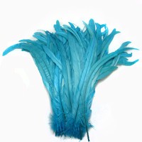 turquoise rooster feathers